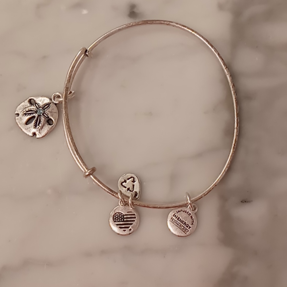 Alex and Ani sand dollar charm bracelet
